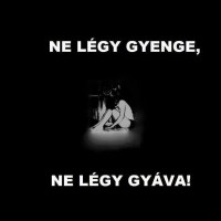 /album/fenykepgaleria/a1625600-587034961381713-1300235535-n-jpg/