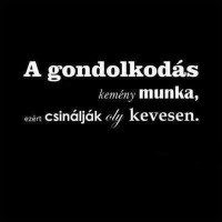 /album/fenykepgaleria/a1779114-587033588048517-1579432102-n-jpg/