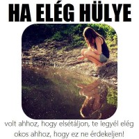 /album/fenykepgaleria/a1661295-527326277382678-1641375706-n-jpg/