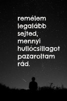 /album/fenykepgaleria/a1656112-524996160949023-1136126315-n-jpg/