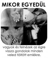 /album/fenykepgaleria/a1926693-609140285837847-5306822937485343870-n-jpg/