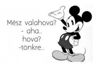 /album/fenykepgaleria/a10527451-576311745821860-5533354448039348200-n-jpg/