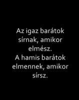 /album/fenykepgaleria/a10603612-597168903736144-6789950525363148416-n-jpg/