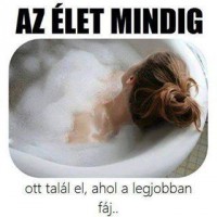 /album/fenykepgaleria/a10603710-598614850258216-1562802228199054084-n-jpg/