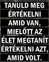 /album/fenykepgaleria/a10606176-597163930403308-654715010249807930-n-jpg/