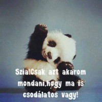 /album/fenykepgaleria/a10613097-592318010887900-4305798307314510663-n-jpg/