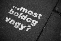 /album/fenykepgaleria/a10660326-595816243871410-8334613292089009096-n-jpg/