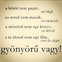 /album/fenykepgaleria/a10308301-537905922995776-813241481849900948-n-png/