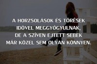 /album/fenykepgaleria/a10363635-787413444611246-5116322982919106555-n-jpg/